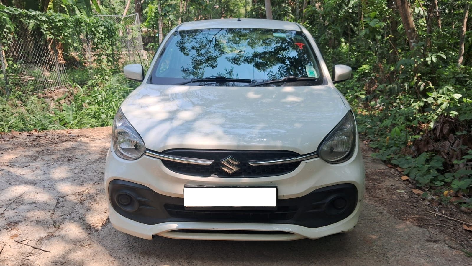 maruti-suzuki-celerio-2022-yfq19mxq59vuq6v4ksfs8alm