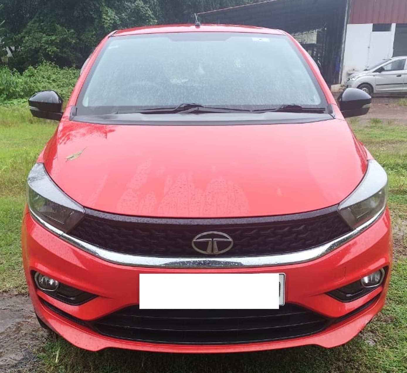 tata-tiago-2021-qjbfs7m5afxv34fi68o9f8hs