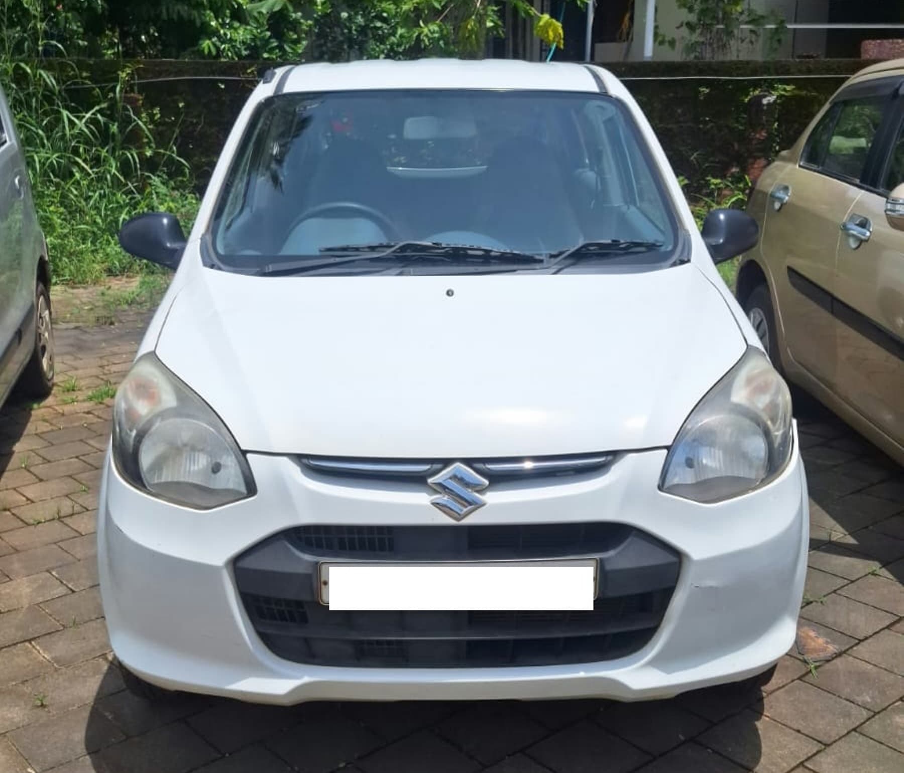 maruti-alto-800-2013-l2uxiq455owhh5sotkr8cr8h