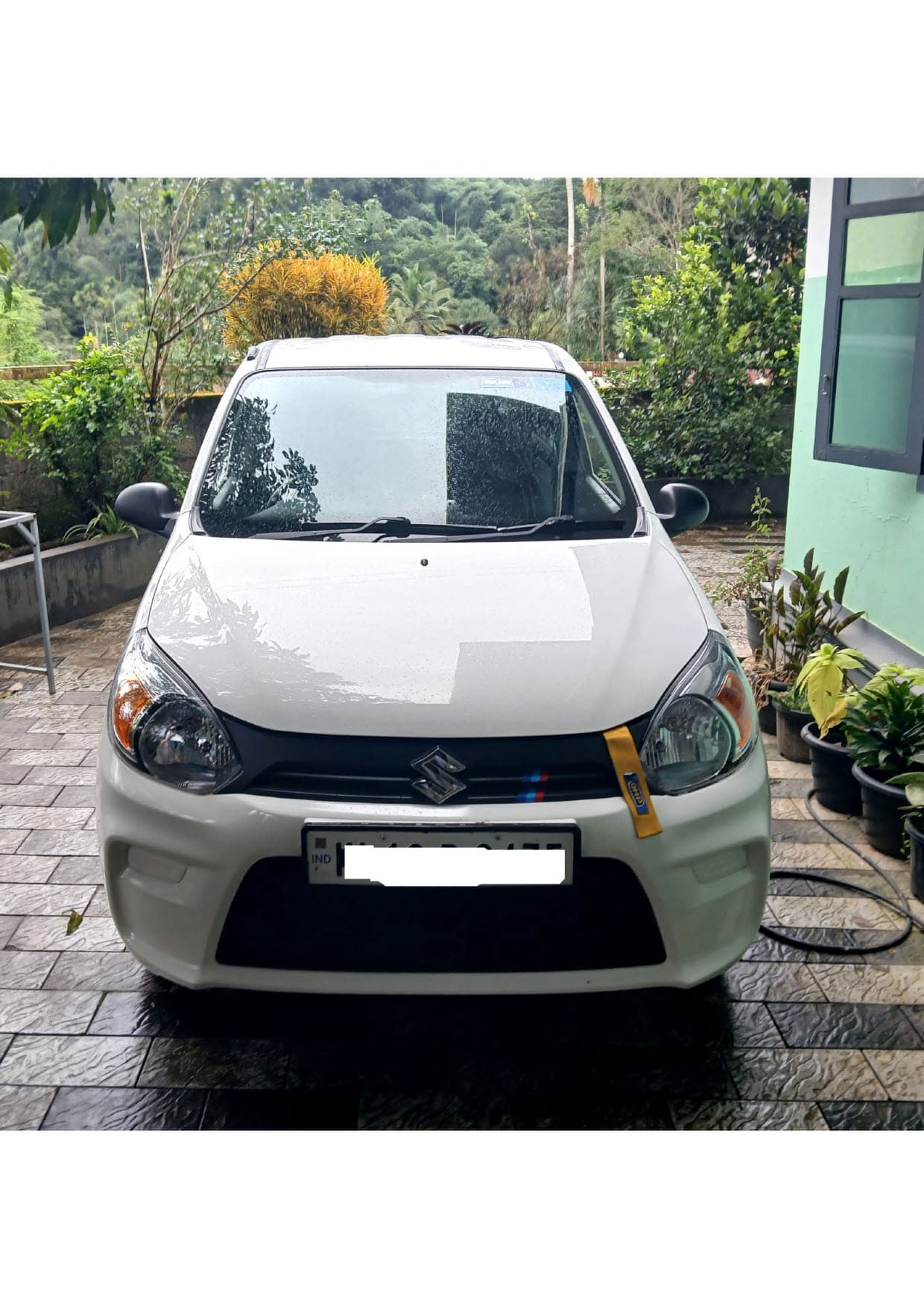maruti-alto-800-2022-rs3yjb9y29bahuq8f6u4ifb4