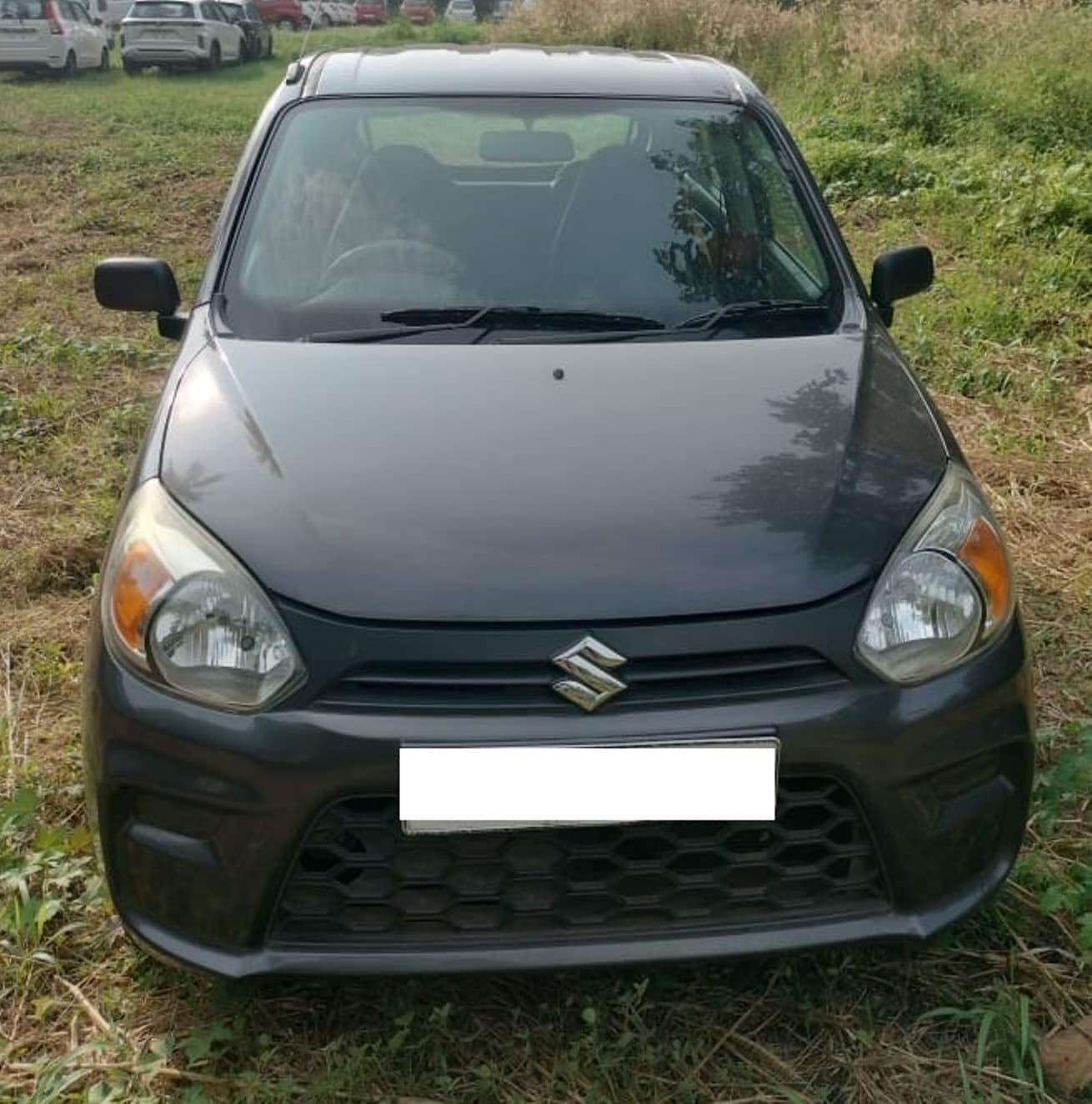 maruti-alto-800-2020-xmm59auvlojn50akw22mydha