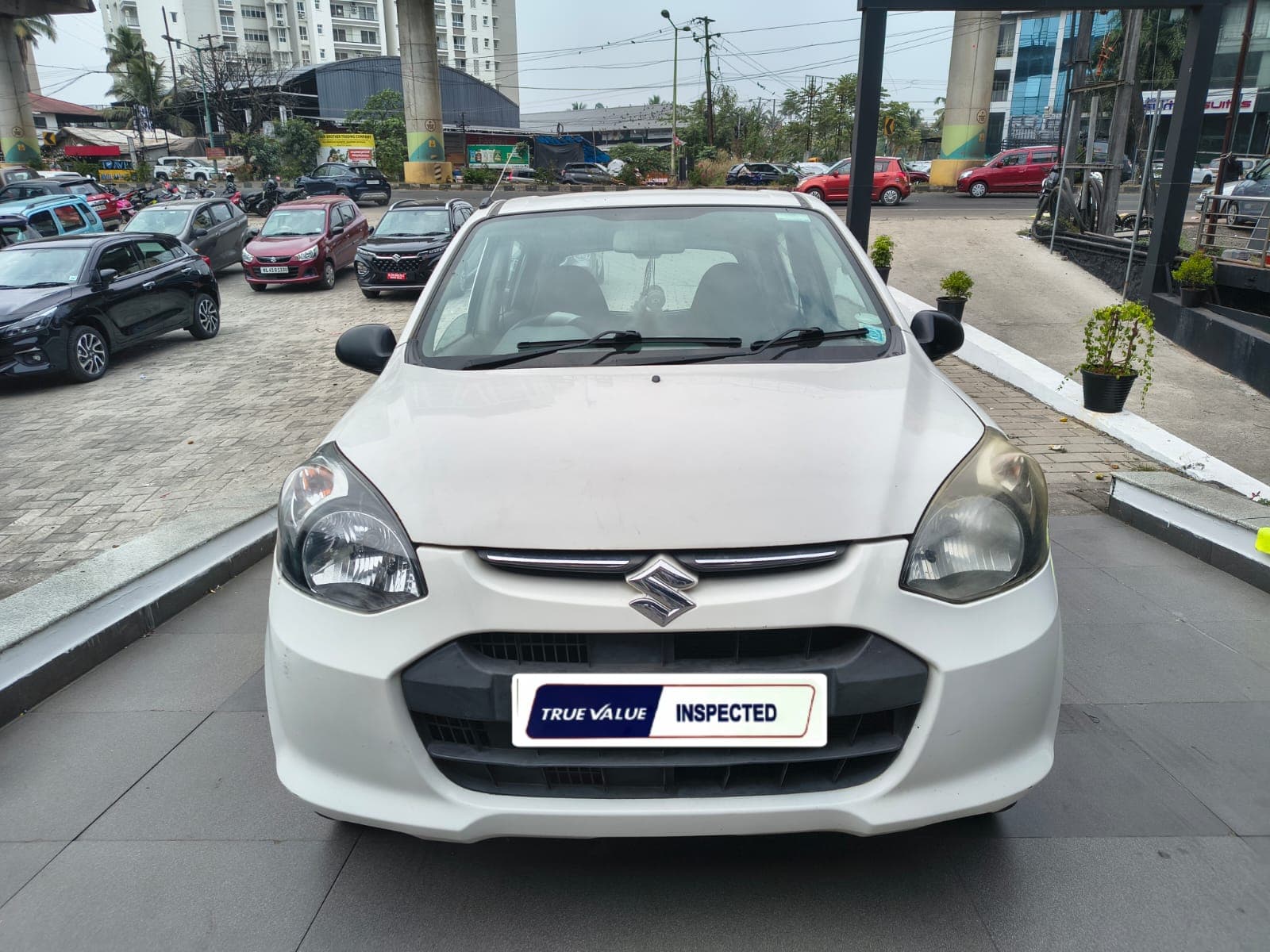 maruti-alto-800-2013-lyn0r6mk0cm84z7vqyorrunu